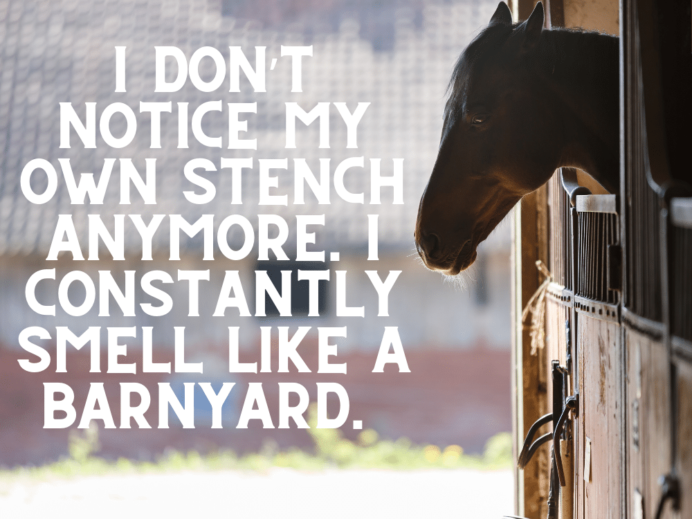 equestrian confessions