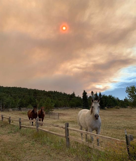horse fire evacuation plan