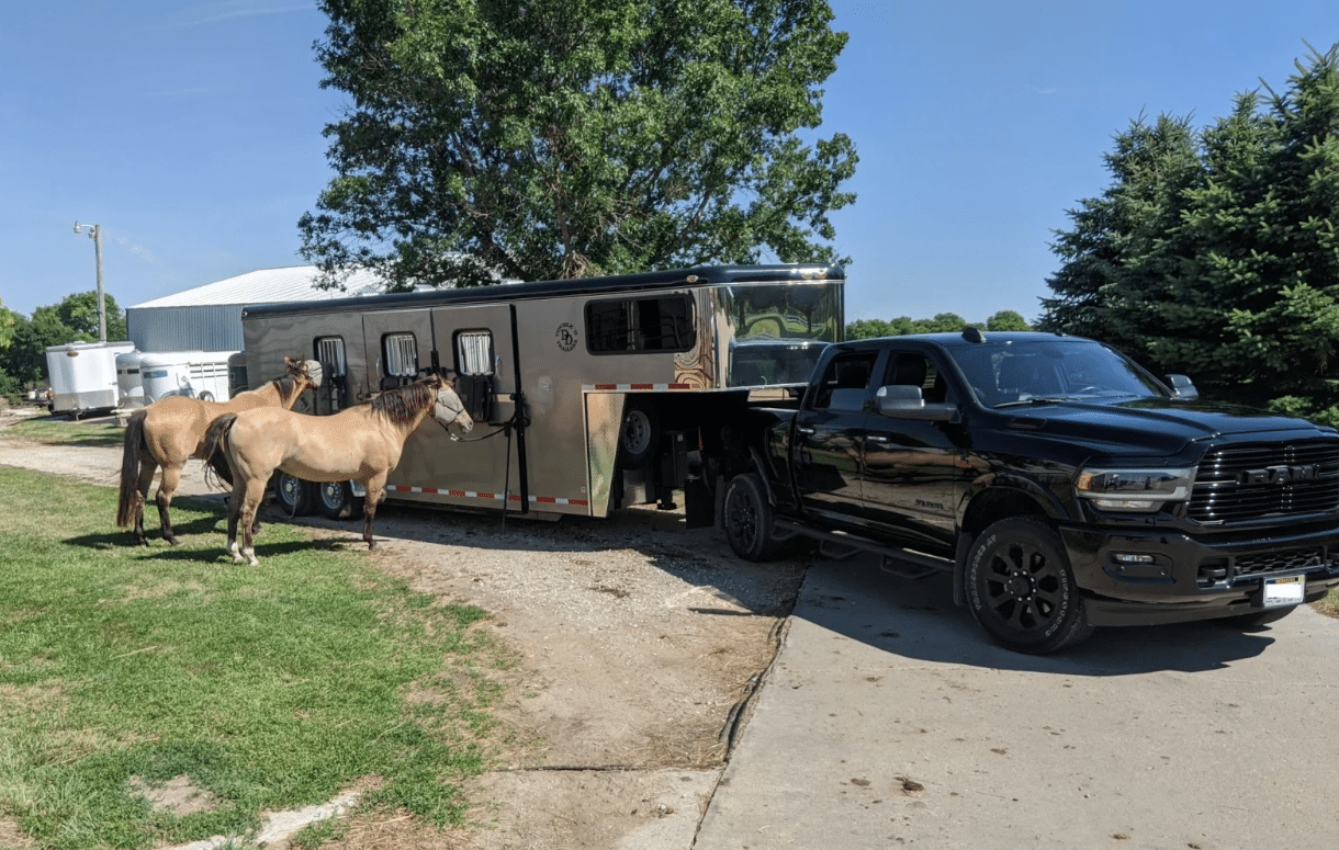 Double D Trailers SafeTack Reverse 3 Horse Gooseneck model hitched up to a black truck with horses standing outside.
