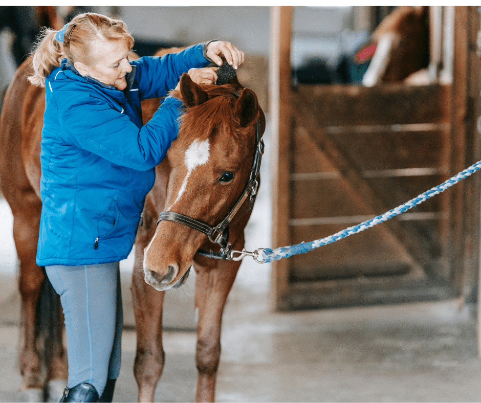 a woman grooming her horse inside of a barn
