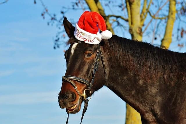 a brown horse with a Santa hat on 