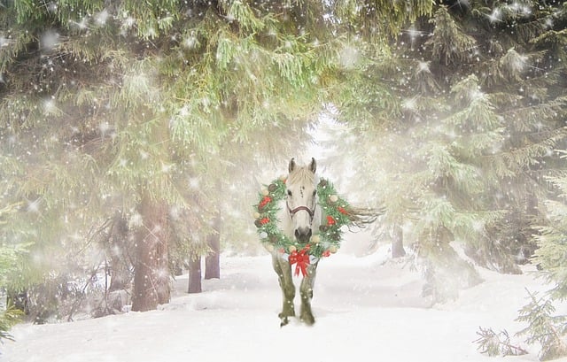 an edited photo of a horse walking in the snow in Christmas gear