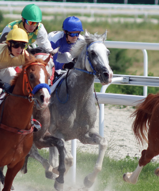 horse jockeys racing 