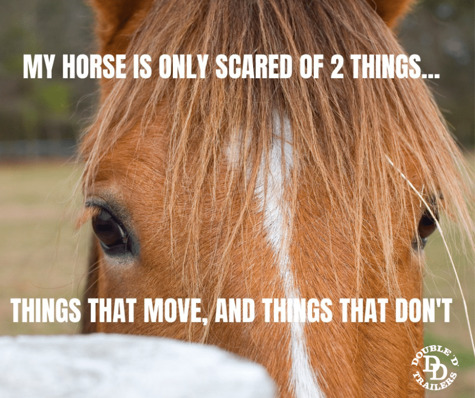 horse scared meme