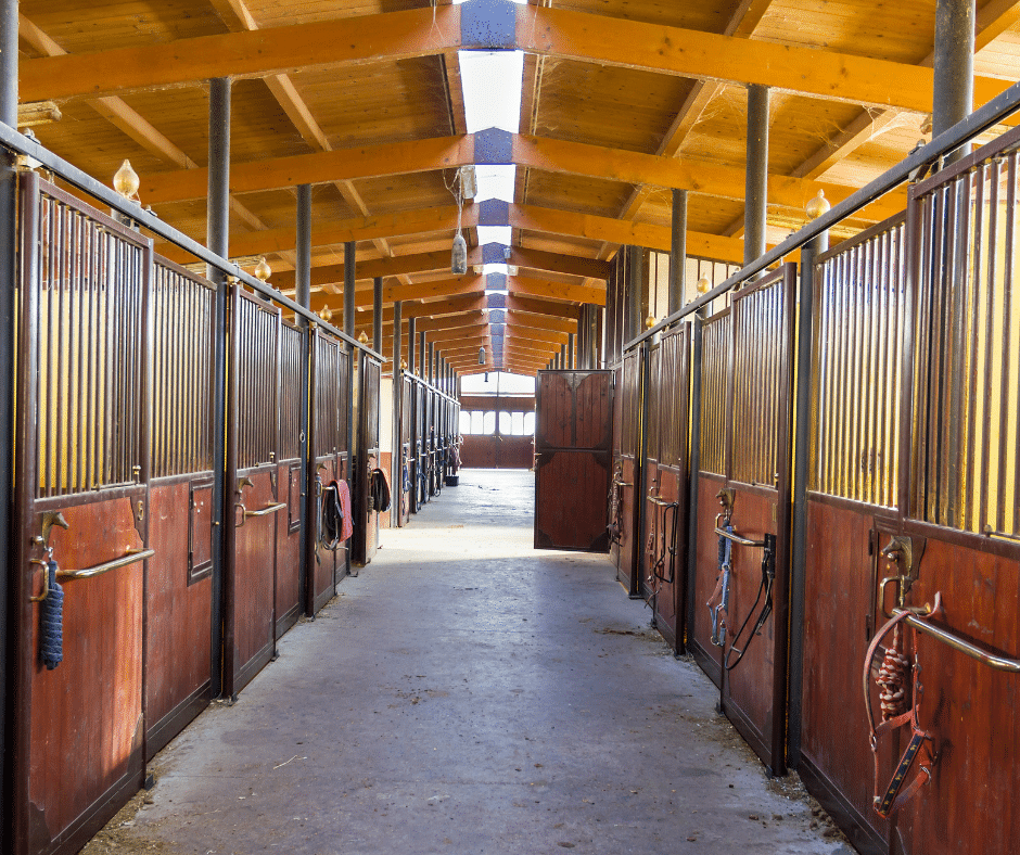 the inside of a horse boarding stable facility 