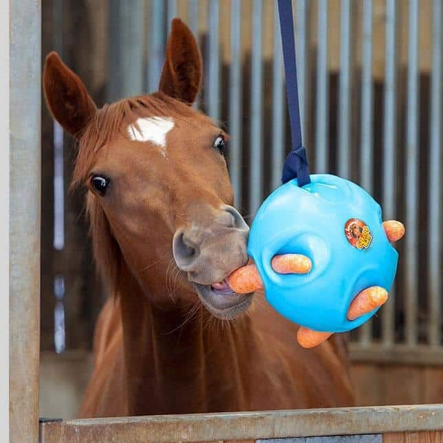 horse toys