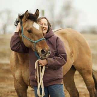 horse angels indiana