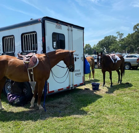 3 horse gooseneck horse trailer