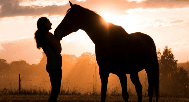 best insurance for horses