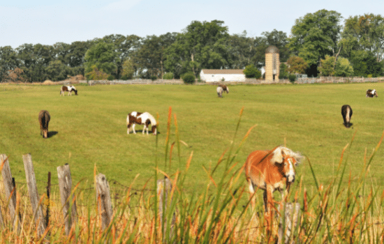 farm owners insurance