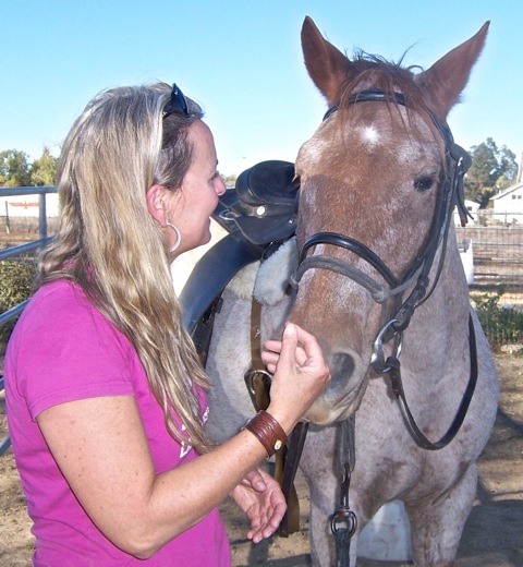 SAFER adopted horse