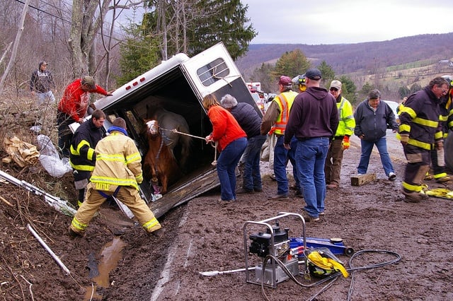 Horses are rescued from this overturned horse trailer.  This picture does not depict 4HFES and NCSMART, LLC workder or techniques.  Photo credit:  www.flickr.com/photos/watershedpost/5625969546/ via photopin.com, creativecommons.org/licenses/by/2.0, cc