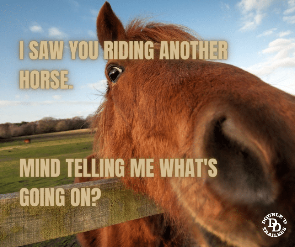 horse face meme