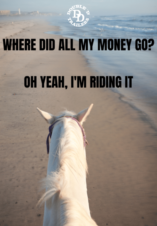 horse riding meme