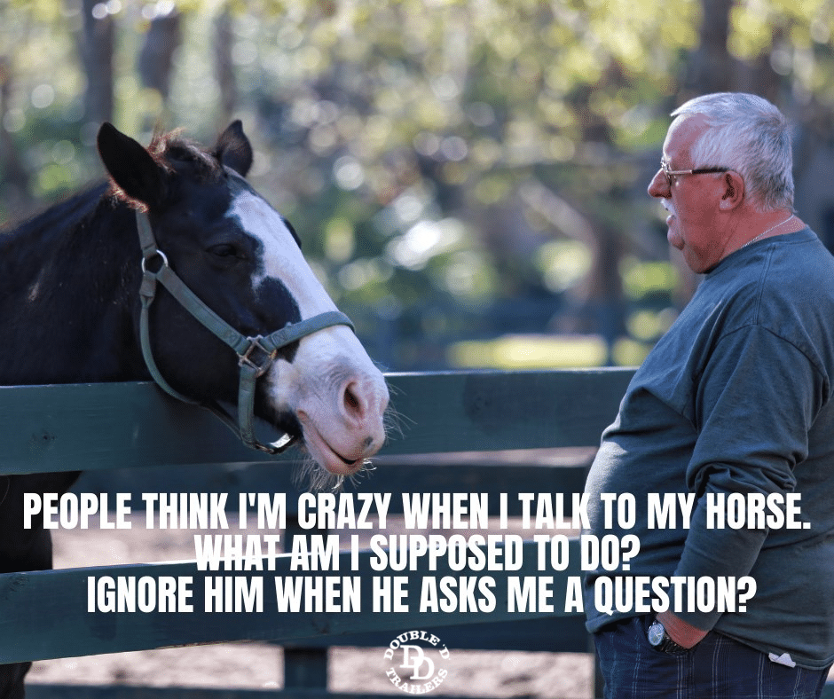 talk to horse meme