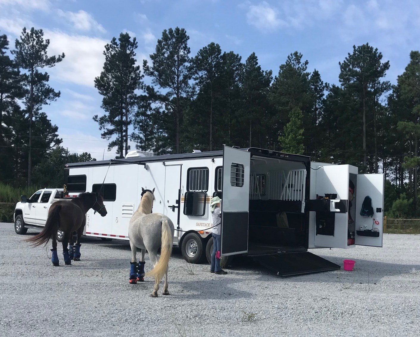 A Double D Trailer parked with horses tied to the trailer. 