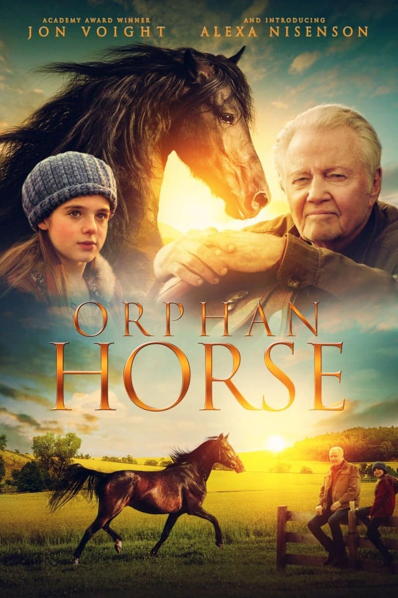 Orphan Horse Movie 