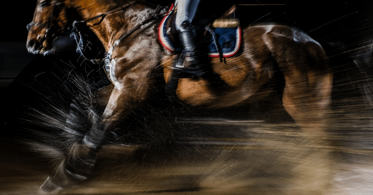 The Racehorse Expense [How Much Racehorses Cost]