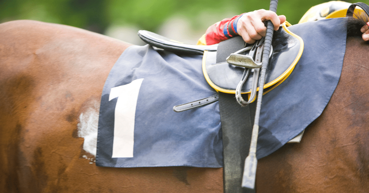 side of a racehorse 