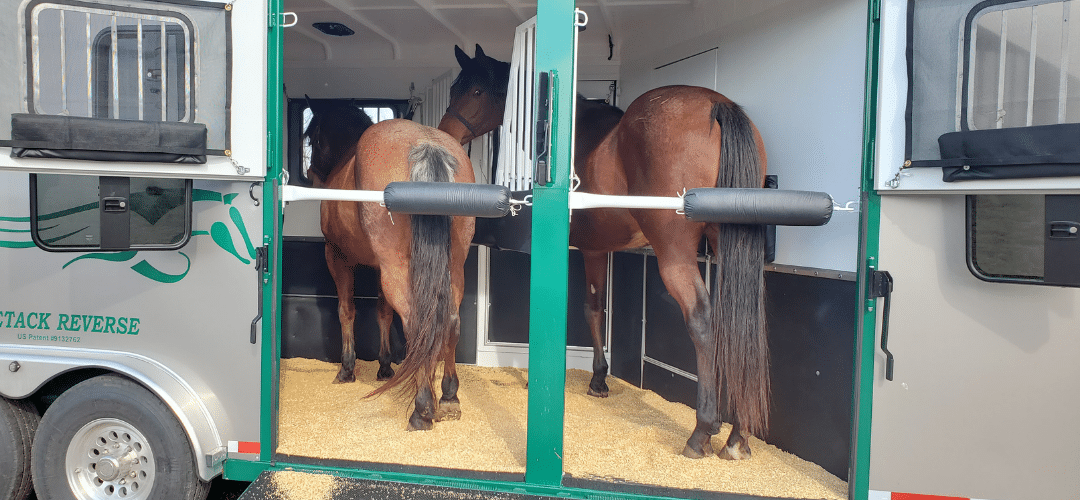 rear facing horse trailer