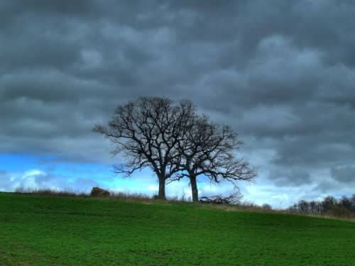 spring storm