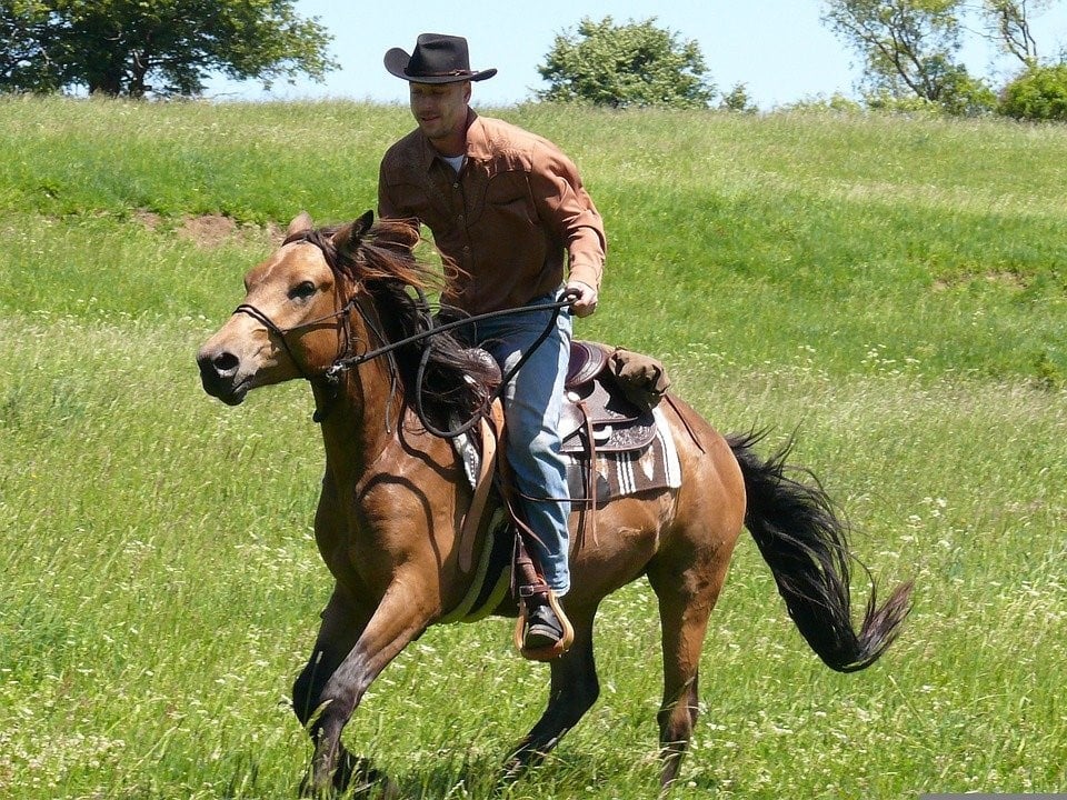 cowboy riding on a horse in an open green field