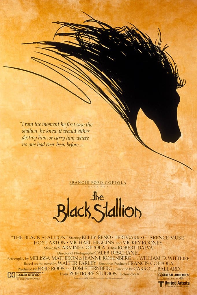 The Black Stallion Movie 