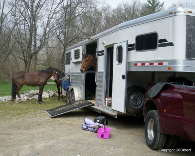 Cindy Gilbert shares her approved Double D Trailers Horse Trailer Packing List.
