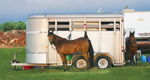 Tying to horse trailer