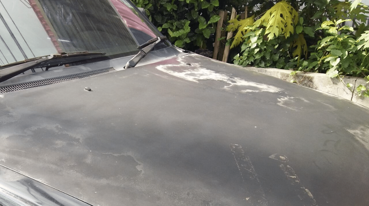 A car hood that displays paint decay after exposure to UV radiation. 