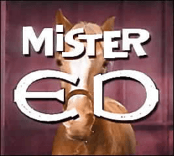 mr ed