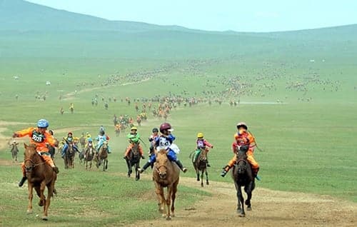 Mongolian Horse Race