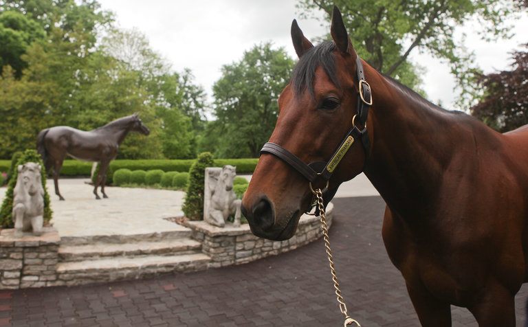 American Pharaoh NY Times