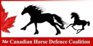 Canadian Horse Defence Coalition