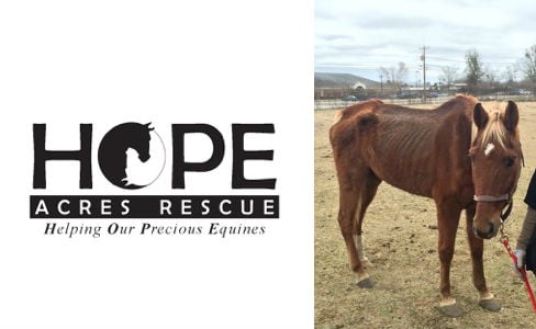 HOPE Acres Rescue