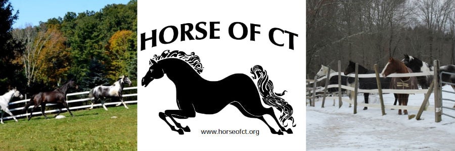 HORSE of CT