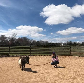 Harmony Farm Rescue North Carolina