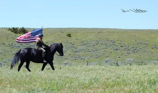 horses-spirits-healing