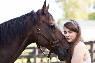 horse rescue corner