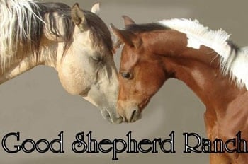 Good Shepherd Ranch Arizona