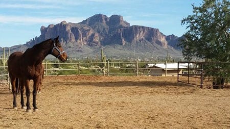 apache junction pic 2