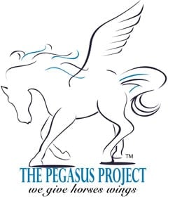Pegasus Project Texas