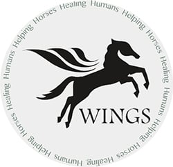 wings programs