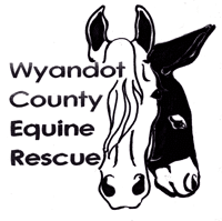 Wyandot County Equine Rescue Ohio