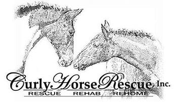 curly horse rescue