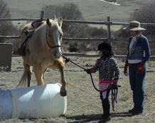 far view horse rescue