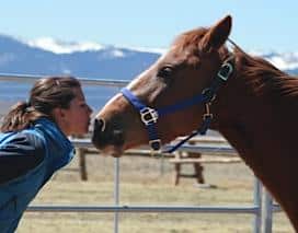 far view horse rescue