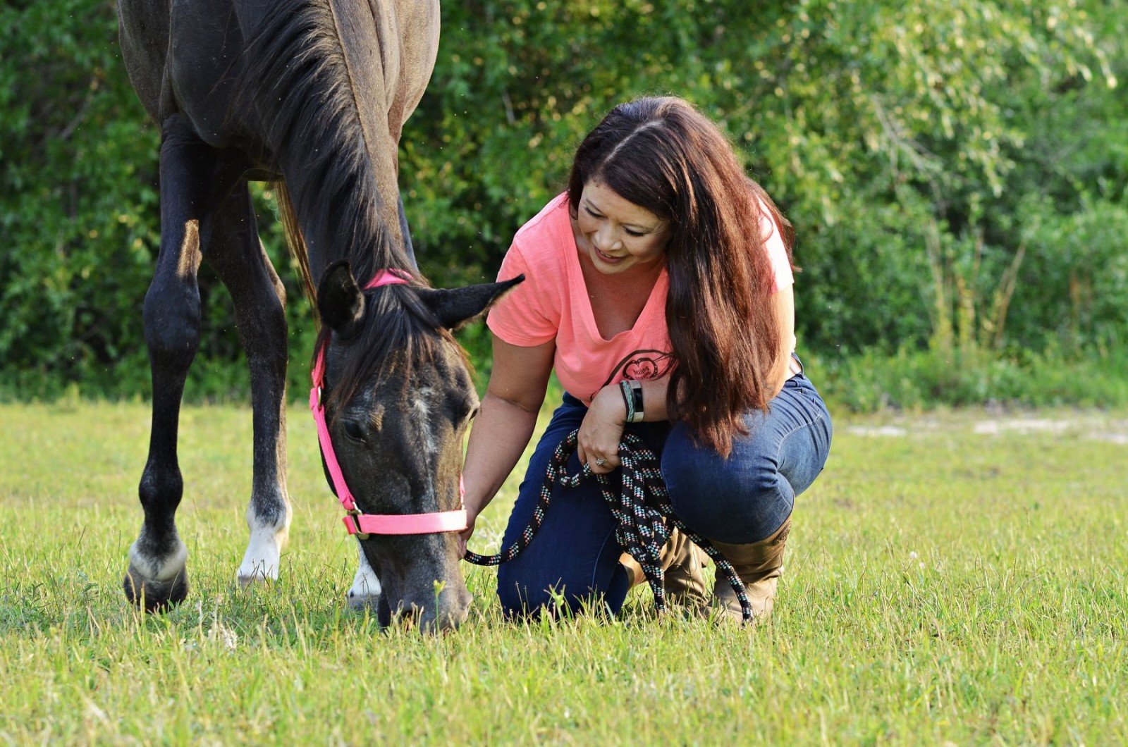 healing hoof steps FL