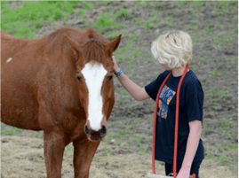 healing-with-horses-ranch