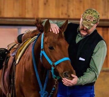 horses-spirits-healing